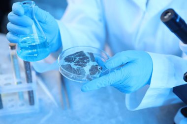 GDO konsepti. Masada et örneğiyle çalışan bilim adamı, yakın plan.