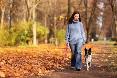 Sonbahar parkında sevimli köpeğini gezdiren bir kadın.
