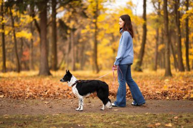 Sonbahar parkında sevimli köpeğini gezdiren bir kadın.