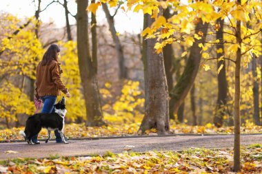 Sonbahar parkında sevimli köpeğini gezdiren bir kadın.
