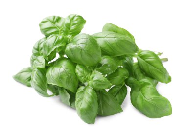 Yeşil fesleğen yapraklı şerbetçiotu beyaz üzerine izole edilmiş.