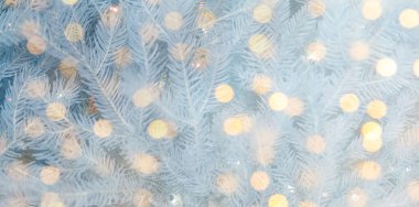 Noel tebrik kartı, içinde köknar ağacı dalları ve bokeh ışıkları var. Pankart tasarımı