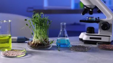 GDO konsepti. Laboratuvardaki masada mikroskop, ürün örnekleri ve sıvılar