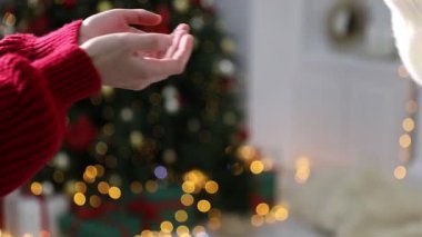 Mutlu Noeller ve mutlu yıllar. Kapalı mekandaki arkadaşına hediye kutusu veren bir kadın.