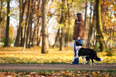 Sonbahar parkında sevimli köpeğini gezdiren bir kadın.