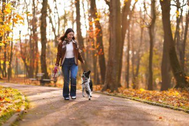 Sonbahar parkında sevimli köpeğini gezdiren bir kadın.