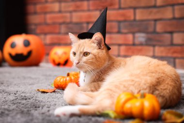 Cadılar Bayramı kutlaması. Cadı şapkası takmış şirin bir kedi ve içerideki halıda şenlikli bir dekor, mesaj atmak için yer var.