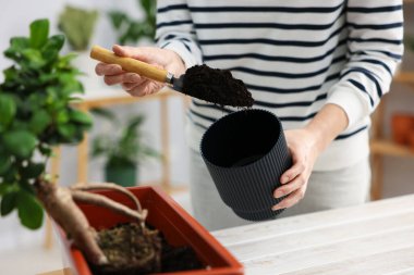 Kapalı alandaki beyaz ahşap masada saksıya çiçek nakleden bir kadın.