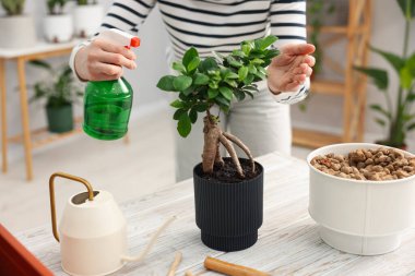 Kapalı alandaki beyaz ahşap masadaki saksı bitkisine su püskürten kadın.