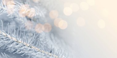 Noel tebrik kartı, içinde köknar ağacı dalları ve bokeh ışıkları var. Pankart tasarımı