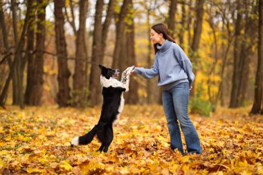 Sonbahar parkında sevimli köpeğini gezdiren bir kadın.