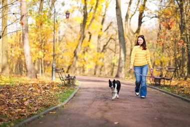 Sonbahar parkında sevimli köpeğini gezdiren bir kadın.