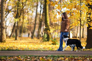 Sonbahar parkında sevimli köpeğini gezdiren bir kadın.