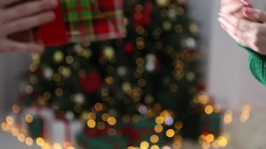 Mutlu Noeller ve mutlu yıllar. Kapalı mekandaki arkadaşına hediye kutusu veren bir kadın.