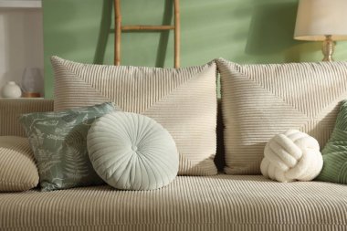 Rahat kanepe ve dekorlu oturma odası. İç tasarım