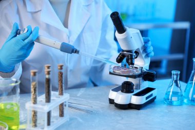 GDO konsepti. Masada et örneğiyle çalışan bilim adamı, yakın plan.