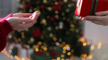 Mutlu Noeller ve mutlu yıllar. Kapalı mekandaki arkadaşına hediye kutusu veren bir kadın.