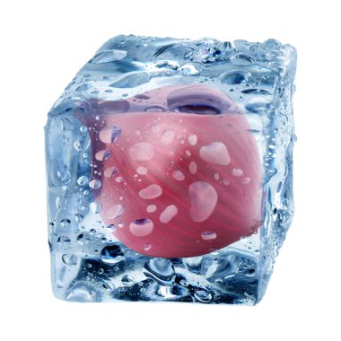 Buz küpündeki taze soğan soğanı beyaza izole edilmiş.