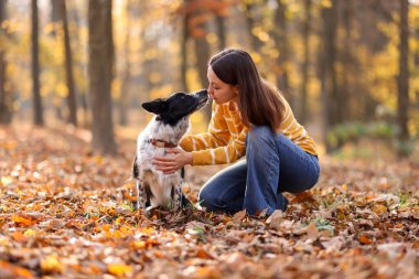 Sonbahar parkında sevimli köpeğini gezdiren bir kadın.