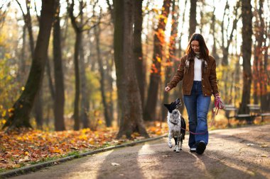 Sonbahar parkında sevimli köpeğini gezdiren bir kadın.