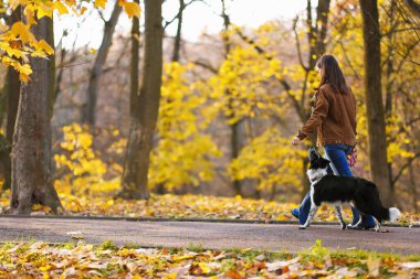 Sonbahar parkında sevimli köpeğini gezdiren bir kadın.