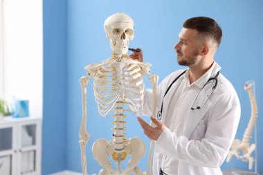 Doktor hastanede insan iskeleti modeli gösteriyor.