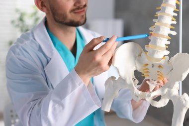 İnsan omurga modeli olan doktor hastanede, yakın plan.