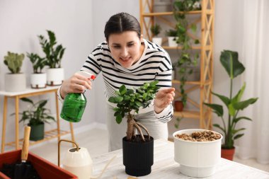 Beyaz ahşap masadaki saksı bitkisine su püskürten bir kadın.