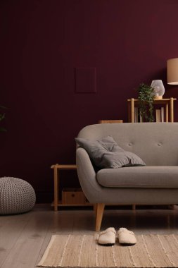 Rahat kanepe ve dekorlu oturma odası. İç tasarım