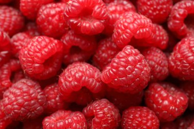 Taze olgun ahududu arka plan olarak, yakın plan görünümü