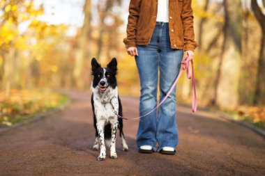 Sonbahar parkında sevimli köpeğini gezdiren kadın, yakın plan.