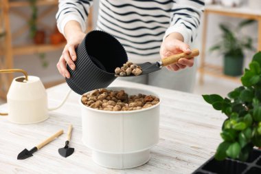 Ev bitkisi nakli. Beyaz ahşap masada toprağın içine toprak koyan kadın, yakın plan.