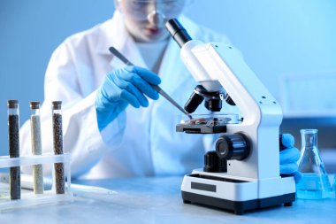 GDO konsepti. Masada et örneğiyle çalışan bilim adamı, yakın plan.