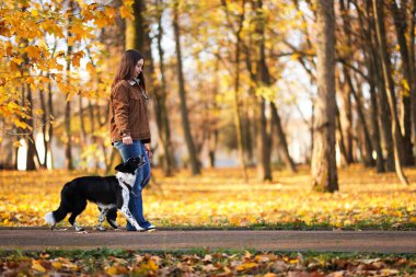 Sonbahar parkında sevimli köpeğini gezdiren bir kadın.