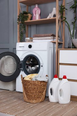 Modern çamaşır makinesi, deterjanlar, ev bitkileri ve iç çamaşırları.