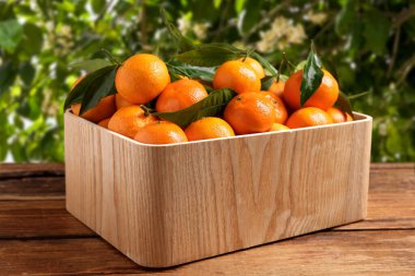 Ağacın yanındaki tahta masada sandıkta taze, sulu mandalinalar.