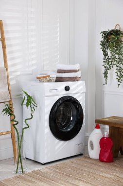 Modern çamaşır makinesi, deterjanlar, ev bitkileri ve iç çamaşırları.