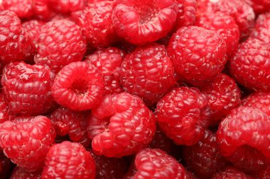 Taze olgun ahududu arka plan olarak, yakın plan görünümü