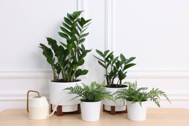 Güzel saksı çiçekleri ve sulama tenekesi beyaz duvarın yanındaki ahşap masada.