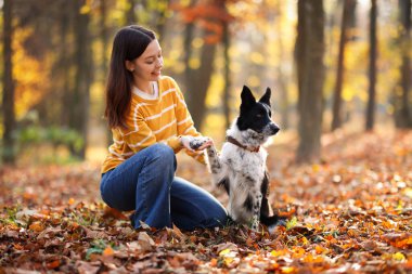 Sonbahar parkında sevimli köpeğini gezdiren bir kadın.