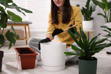 Ev bitkisi nakli. Kadın evdeki çömleğe toprak atıyor, yakın plan.
