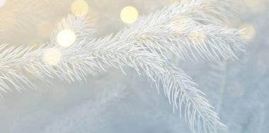 Noel tebrik kartı, içinde köknar ağacı dalları ve bokeh ışıkları var. Pankart tasarımı