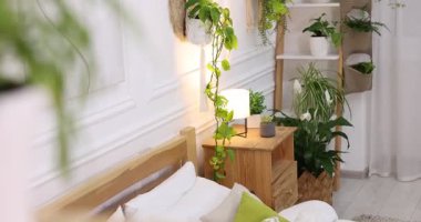 Rahat yatağı, yastıkları, lambası ve farklı çiçekleri olan güzel bir oda. Kamera sağa hareket ediyor