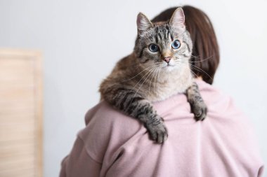 Evinde sevimli kedisi olan bir adam, mesaj için yer var.