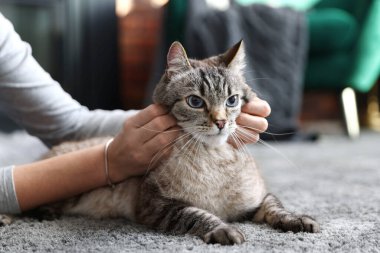 Evinde sevimli kedisi olan bir kadın var.