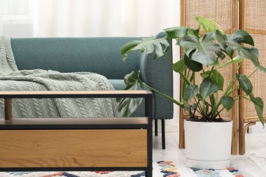 Canavar çiçekli şık bir oda, rahat bir kanepe ve masa. İç tasarım