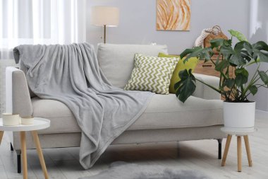 Rahat kanepenin yanında canavar bitkisi olan şık bir oda. İç tasarım