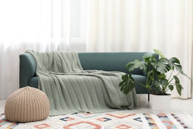 Rahat kanepenin yanında canavar bitkisi olan şık bir oda. İç tasarım