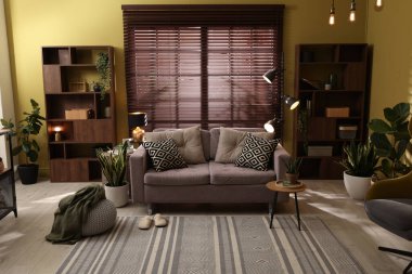 Oturma odasının içi rahat kanepe, diğer mobilyalar ve dekorlarla dolu.