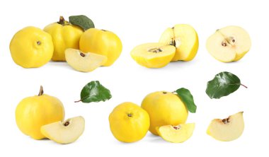 Beyazlar üzerinde izole edilmiş taze ayva seti